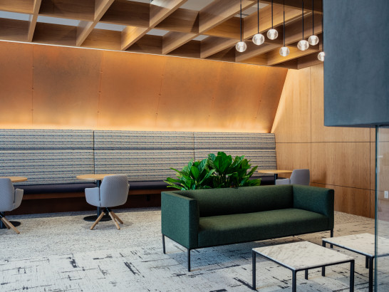 Parasoleil™ Panels in use for the DaVita Gallery Wall case study