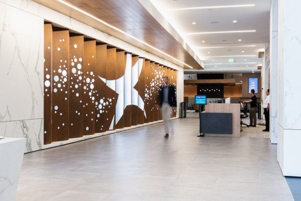 Parasoleil™ Panels in use for the DaVita Gallery Wall case study